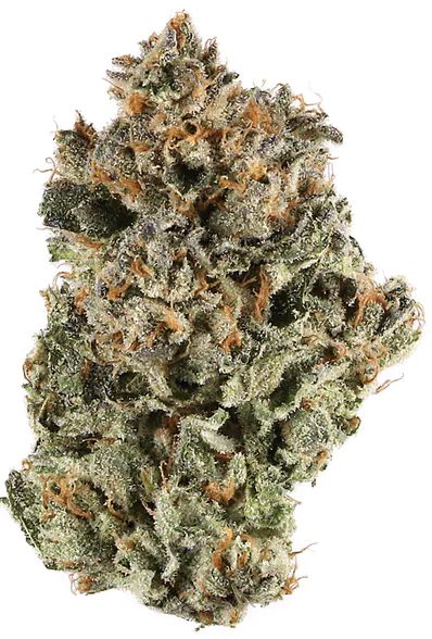 Blue Cookies